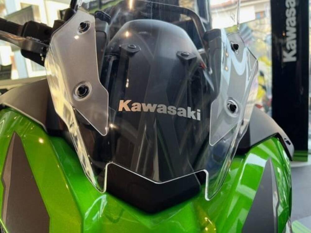 Kawasaki Versys 650 (2021 - 24) (5)