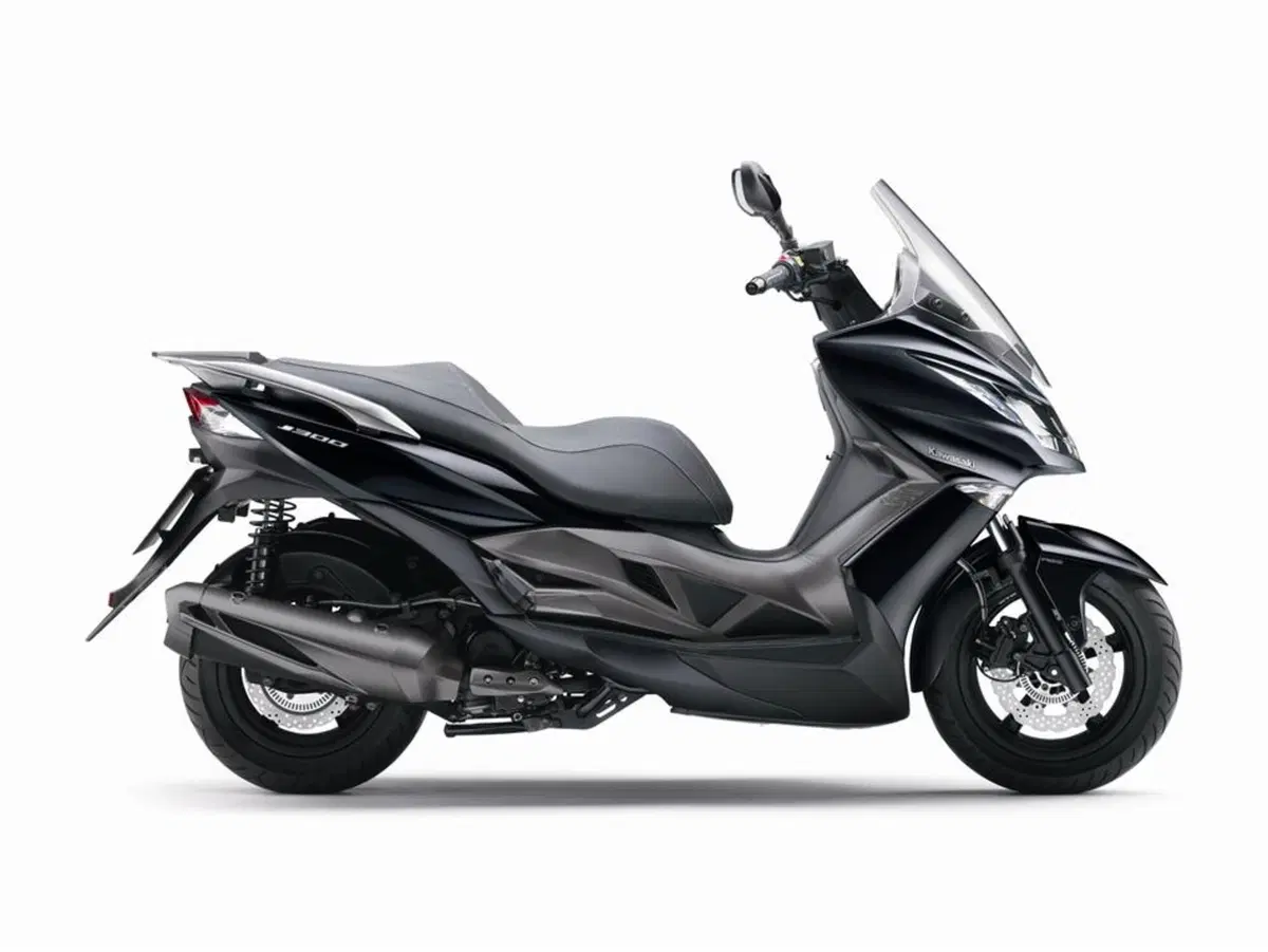 Kawasaki J 300 J 300 (2014) (4)