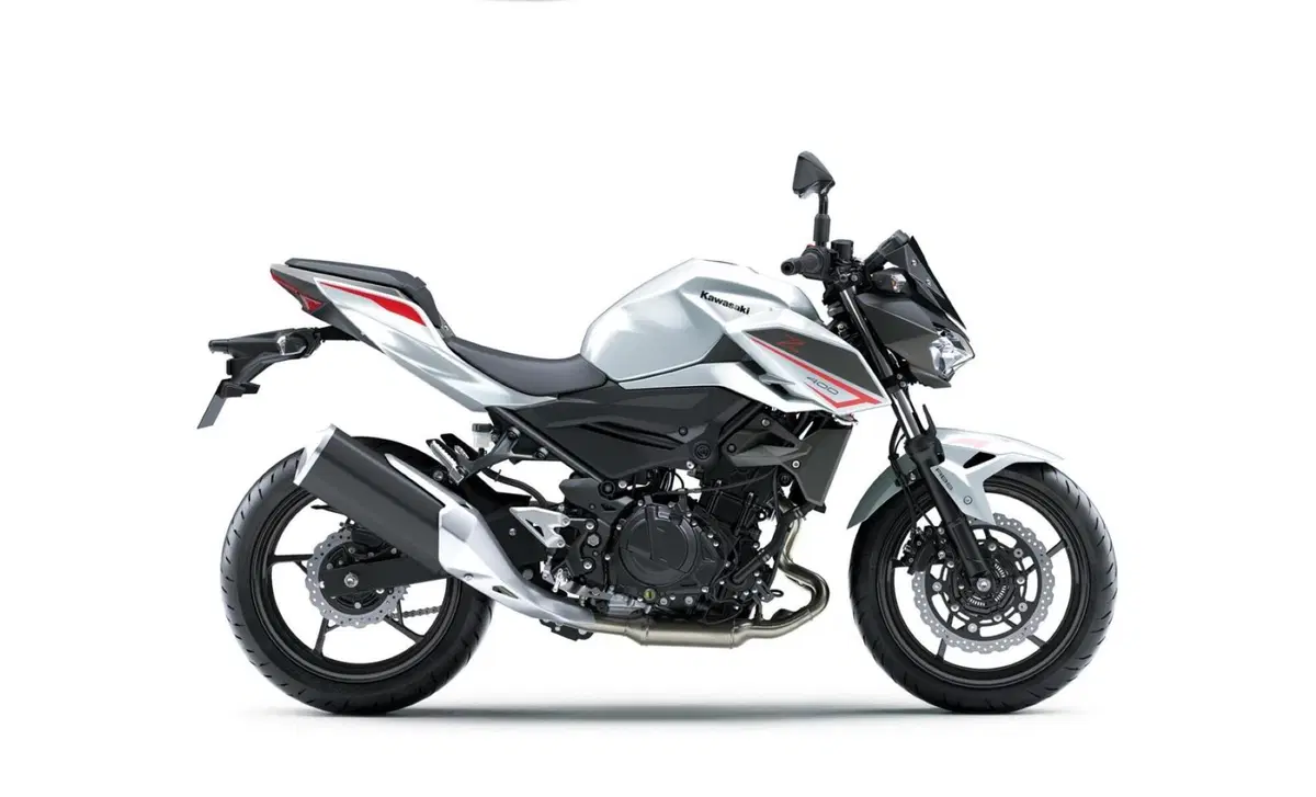 Kawasaki Z 400 Z 400 Performance (2023) (5)