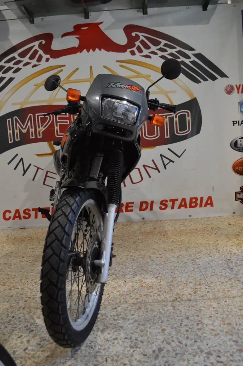 Honda Dominator 650 (2)
