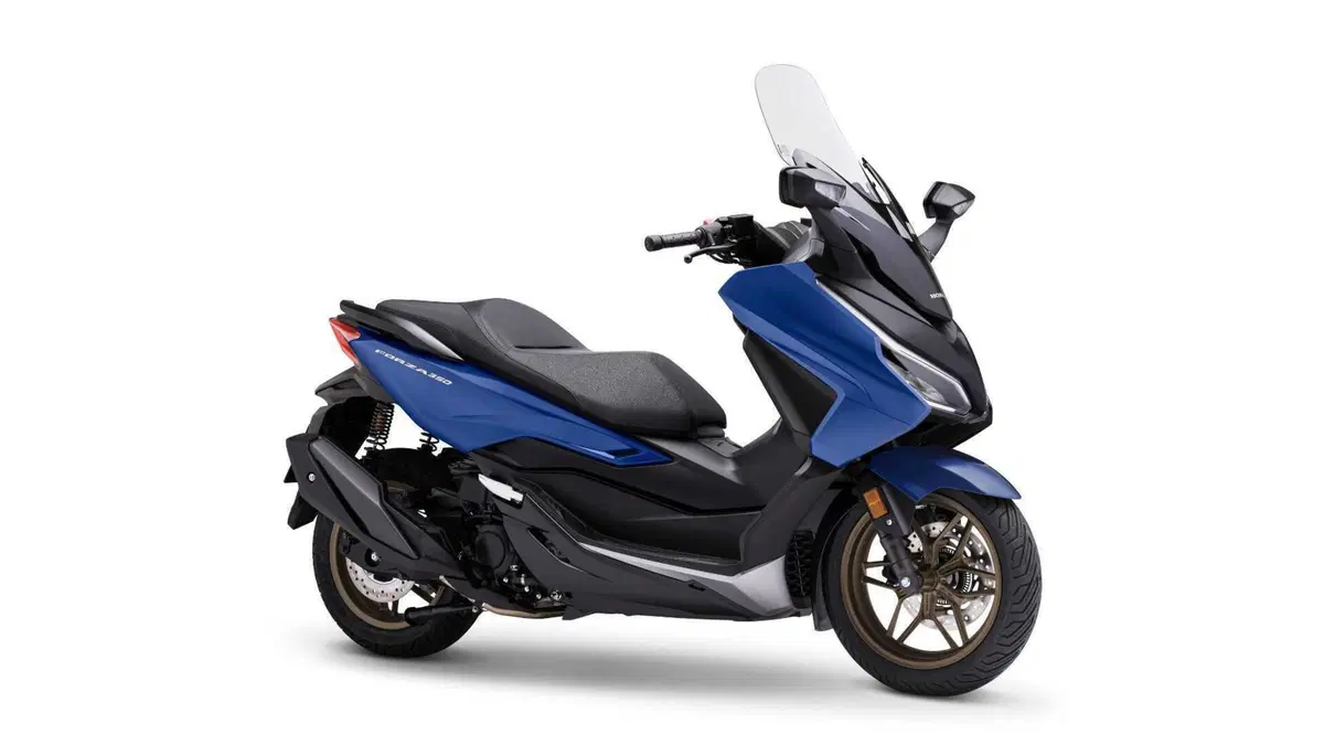Honda Forza 350 Forza 350 (2022 - 24) (3)