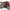 Aprilia RSV4 Factory APRC ABS (2011 - 15)