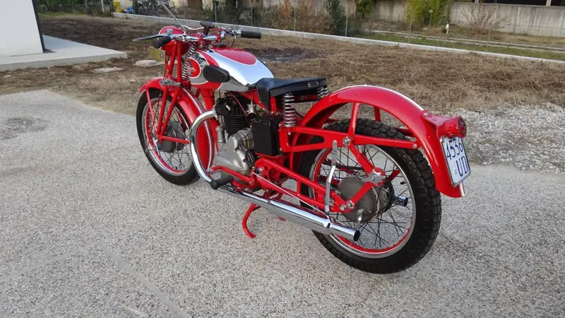 Sertum 250 CC VT4 (4)