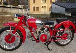 Moto Guzzi 500 FALCONE SPORT CIVILE d'epoca