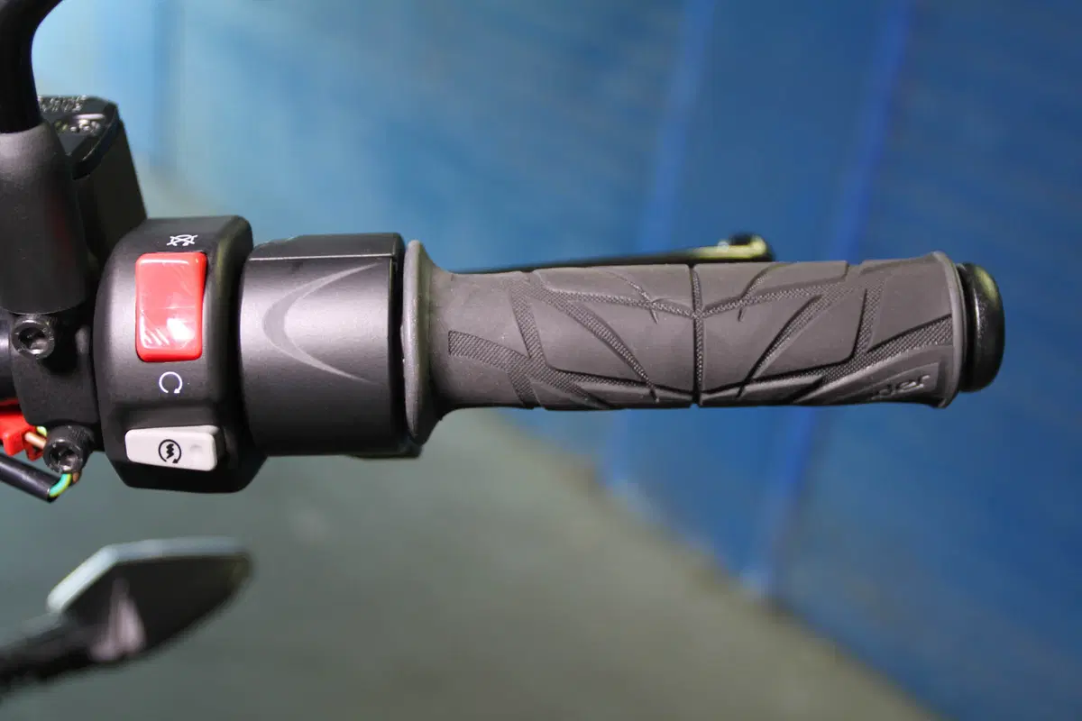 Brammo Empulse R (32)