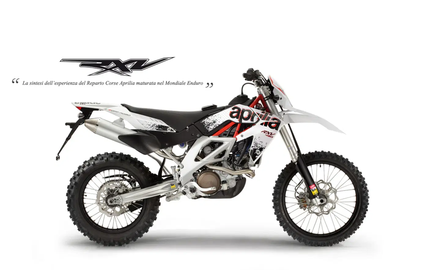 Quotazione usato Aprilia RXV 450