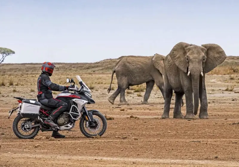 Ducati Multistrada V4 Rally