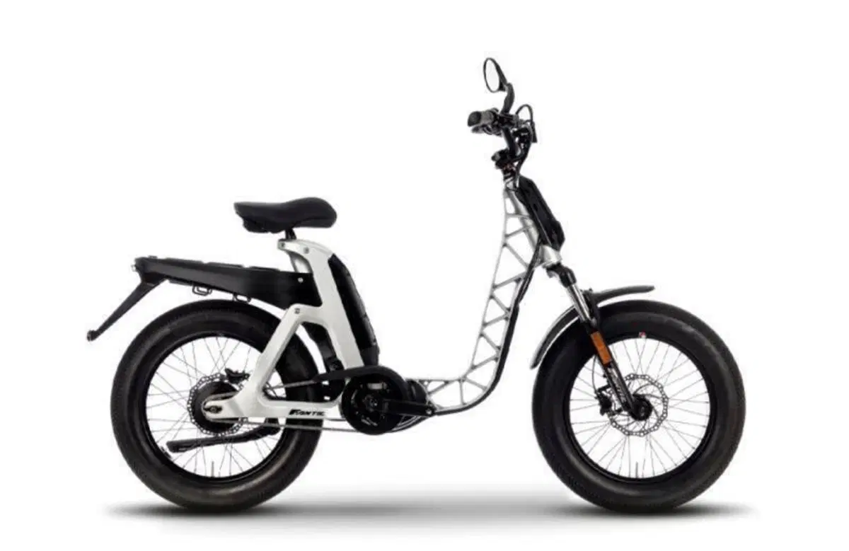 Fantic Motor Issimo 45 (2022 - 26)