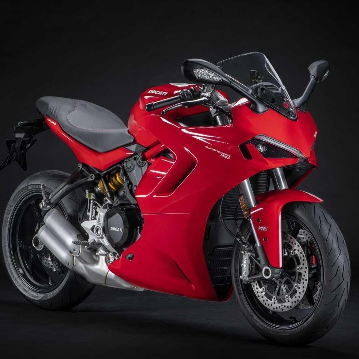 Ducati SuperSport 950 (2021 - 24)