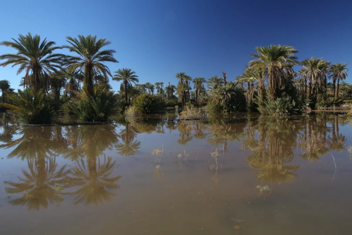 Planet Explorer 5 Marocco: quinta puntata (12)