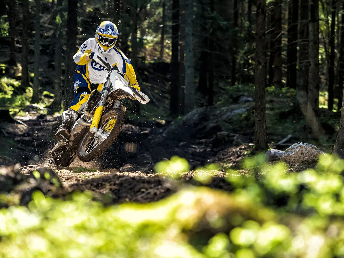 Husqvarna FE 350 FE 350 (2015) (4)