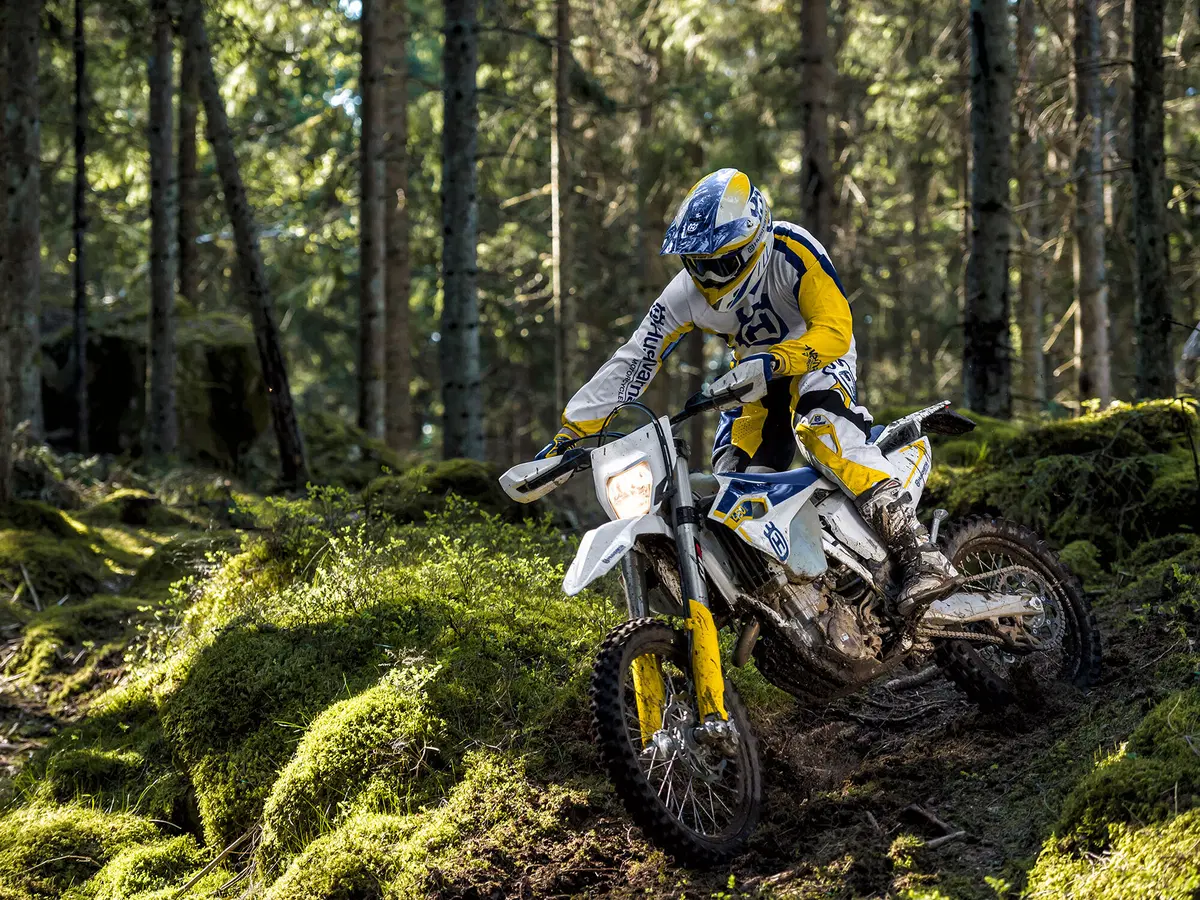 Husqvarna FE 450 FE 450 (2015) (4)