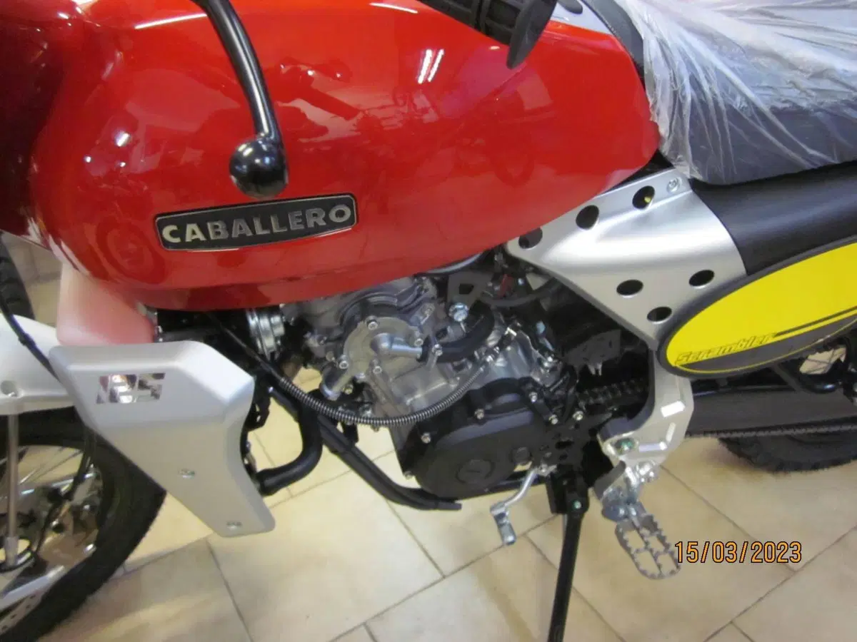 Fantic Motor Caballero 125 Scrambler (2021 - 23) (3)