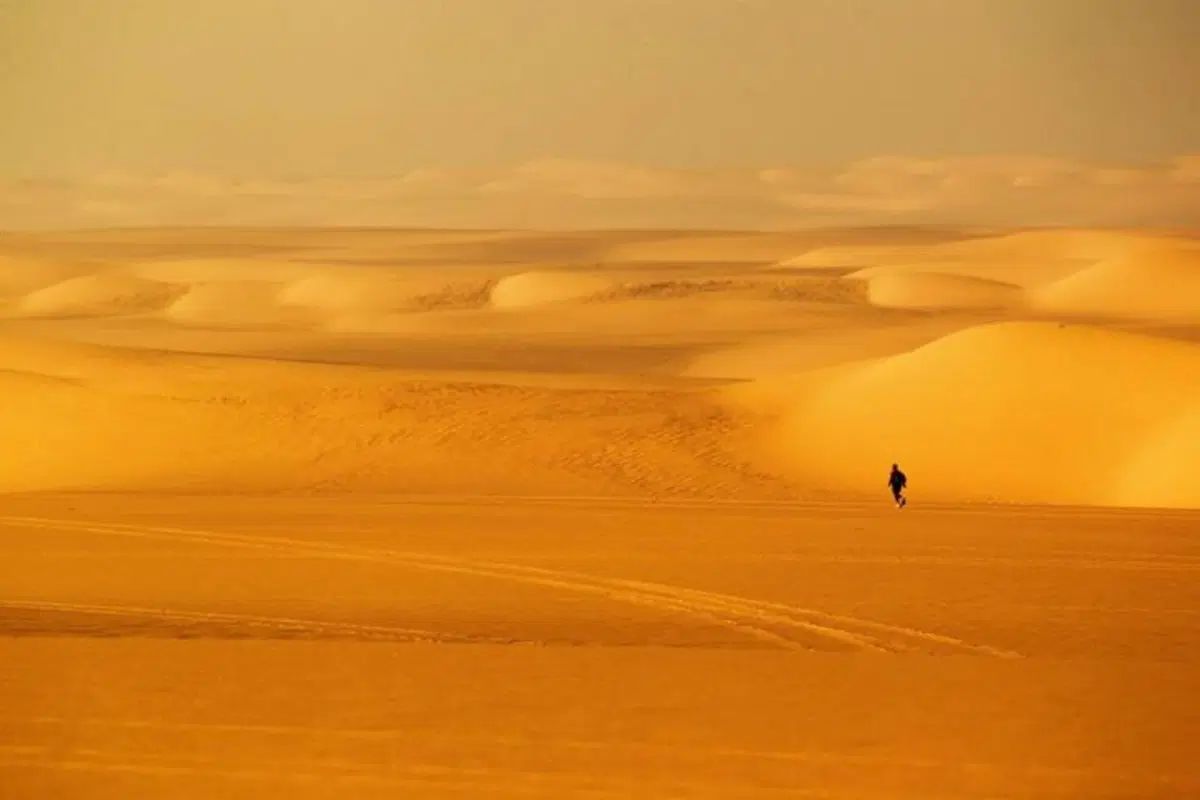 Pugolotti, ecco cosa significa lottare con il deserto (4)