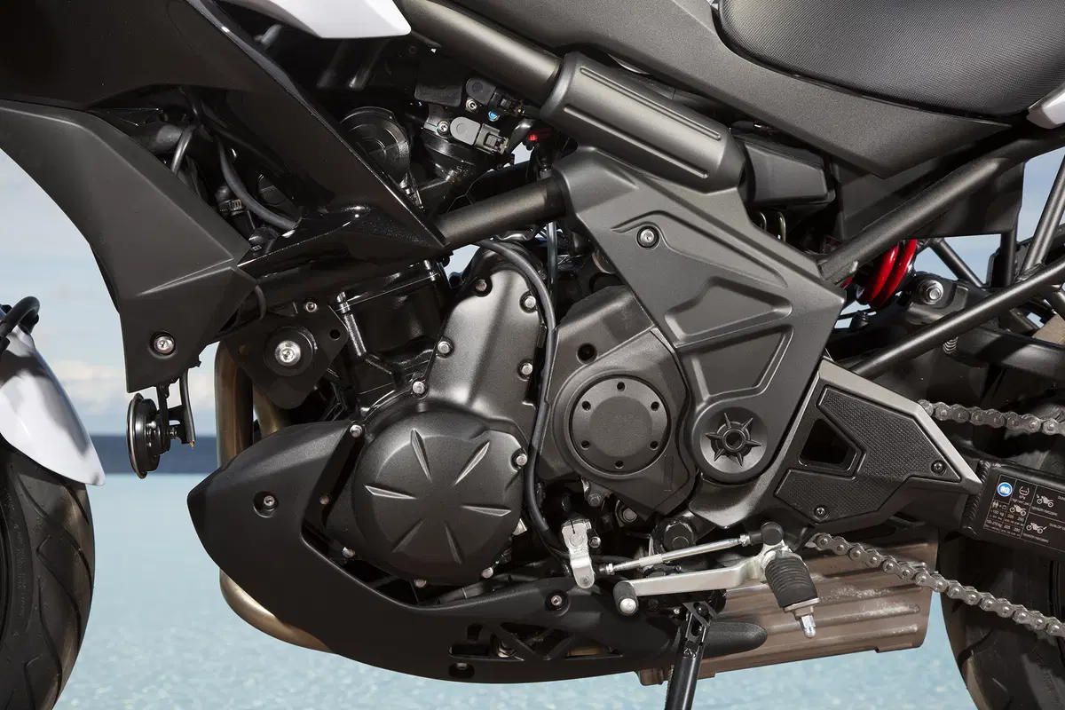 Kawasaki Versys 650 (41)
