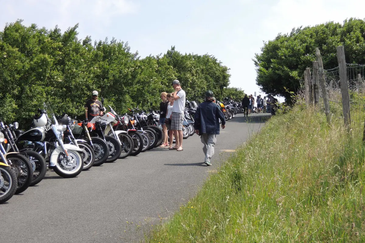 Al Wheels and Waves sulla Harley-Davidson Road King