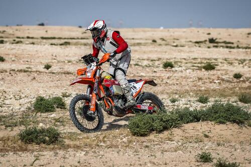 FIM Baja World Cup. Baja Qatar, Vince Dabrowski, KTM   (4)