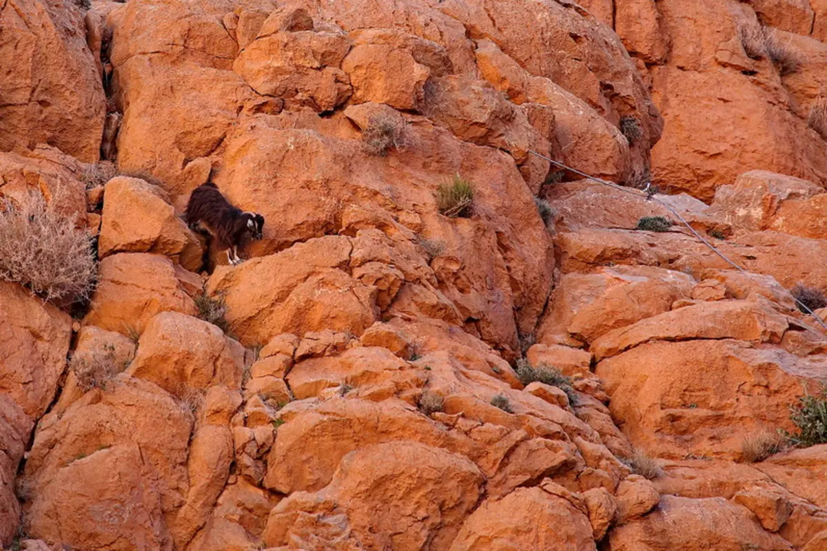 Planet Explorer 5 Marocco: settima puntata (4)