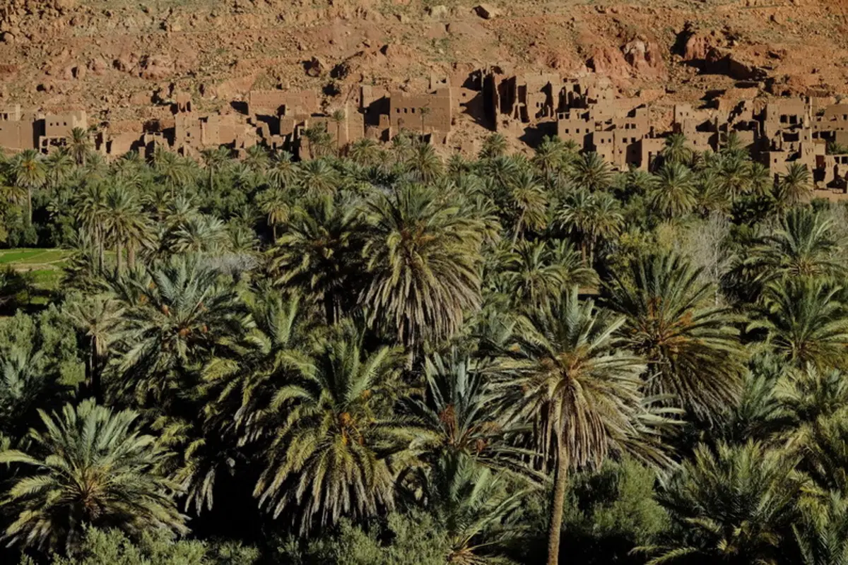 Planet Explorer 5 Marocco: settima puntata (10)