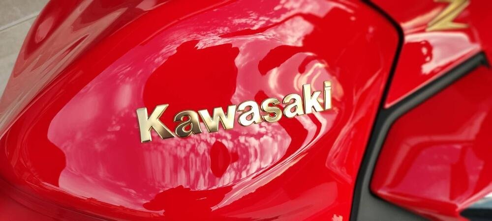 Kawasaki Z 650 50th Anniversary (2022 - 23) (4)