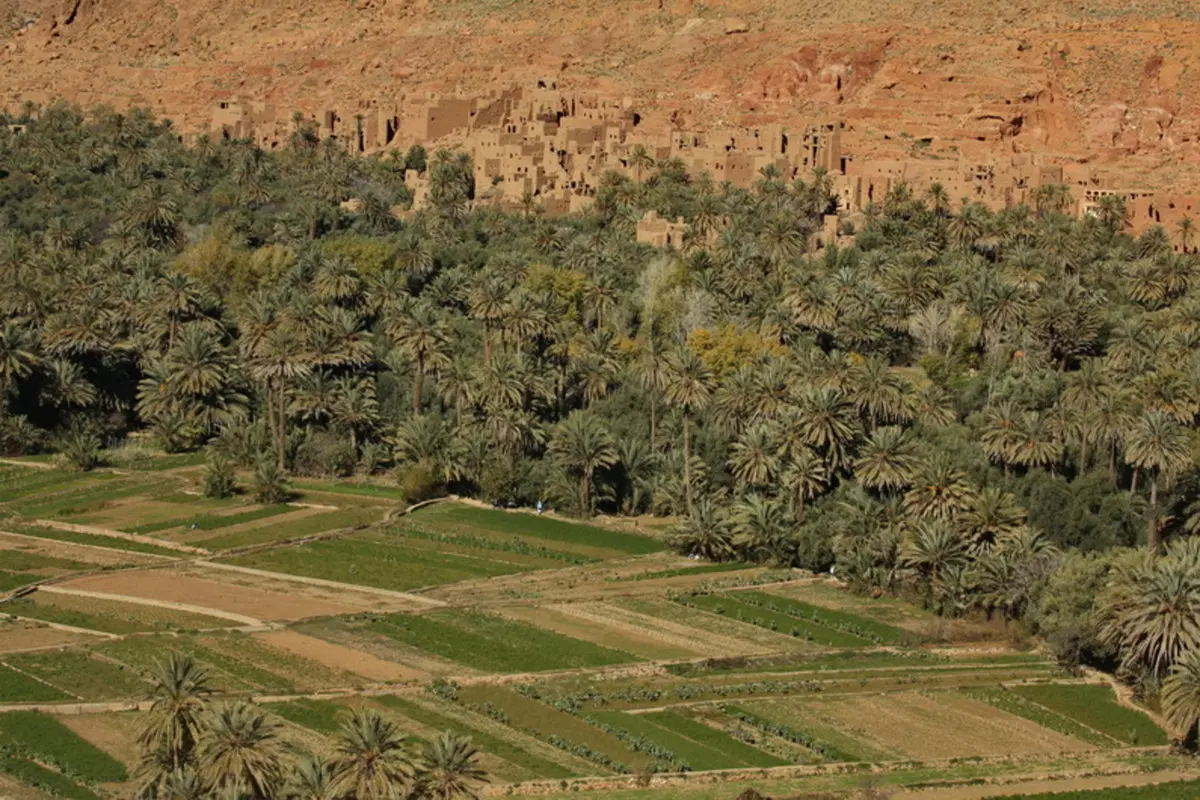 Planet Explorer 5 Marocco: settima puntata (16)