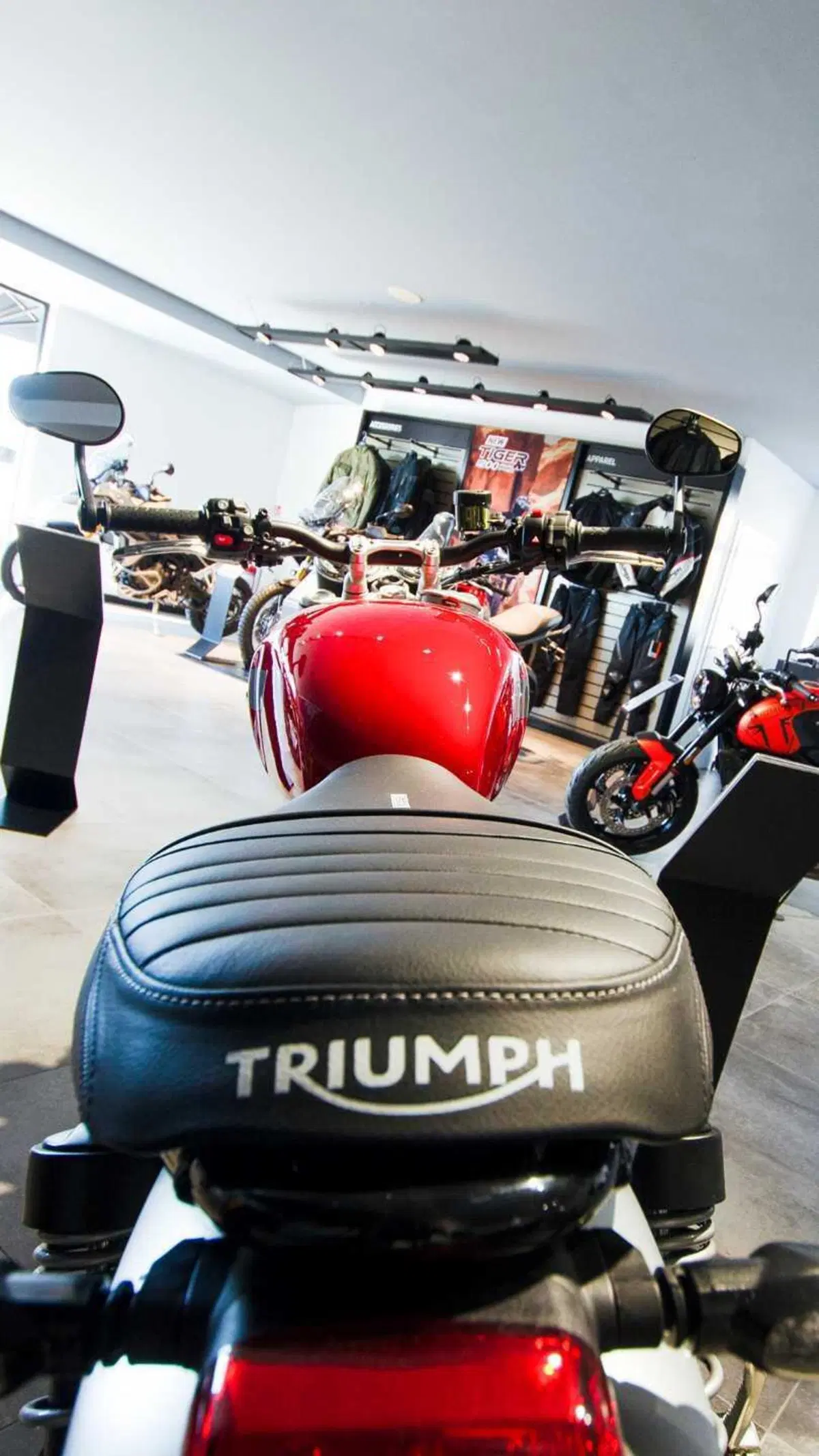 Nuova apertura: inaugura Peragnoli Triumph Siena (25)