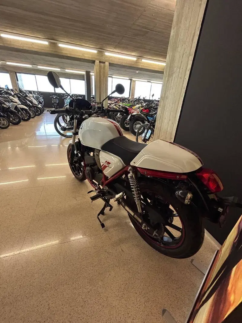 Sym Wolf CR 300 (2019 - 20) (9)
