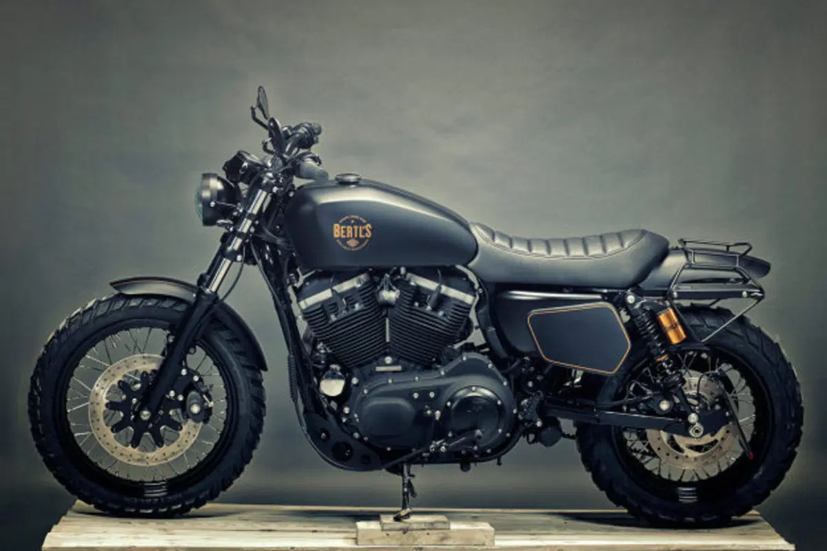 Renard Harley Davidson XL 1200 Scrambler (3)