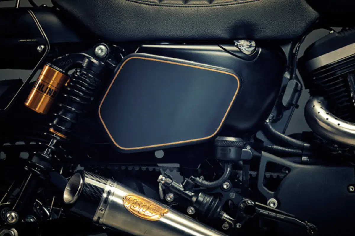 Renard Harley Davidson XL 1200 Scrambler (5)