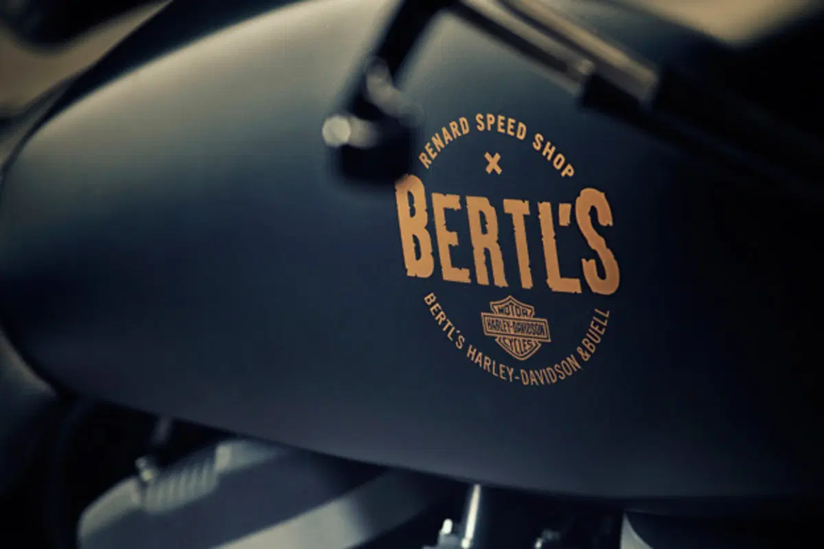 Renard Harley Davidson XL 1200 Scrambler (7)