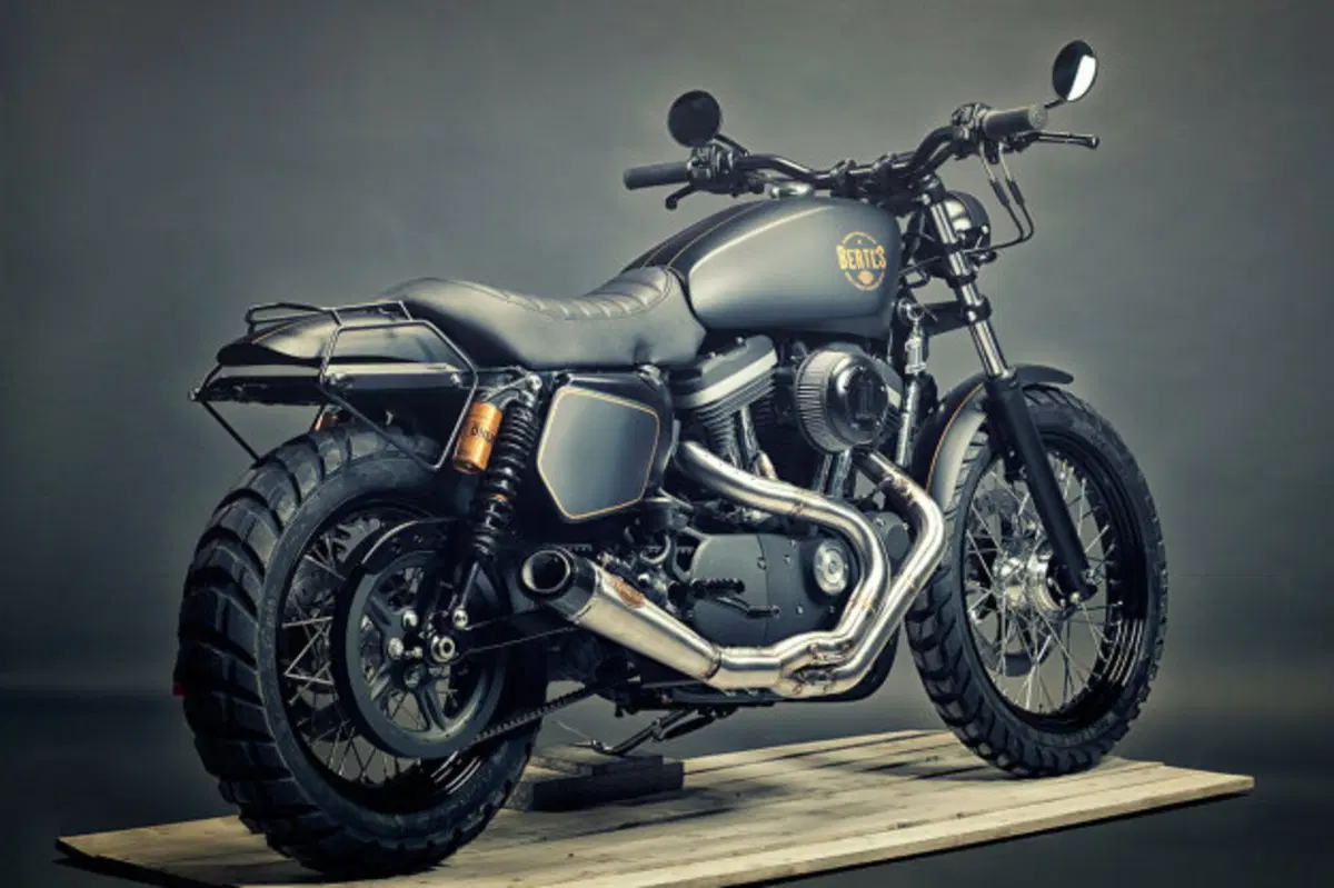 Renard Harley Davidson XL 1200 Scrambler (2)