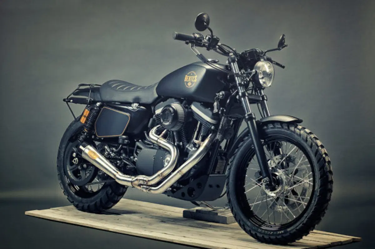 Renard Harley Davidson XL 1200 Scrambler