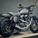 Renard Harley-Davidson XL 1200 Scrambler