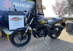 Voge Trofeo 525ACX Scrambler (2023 - 24) nuova