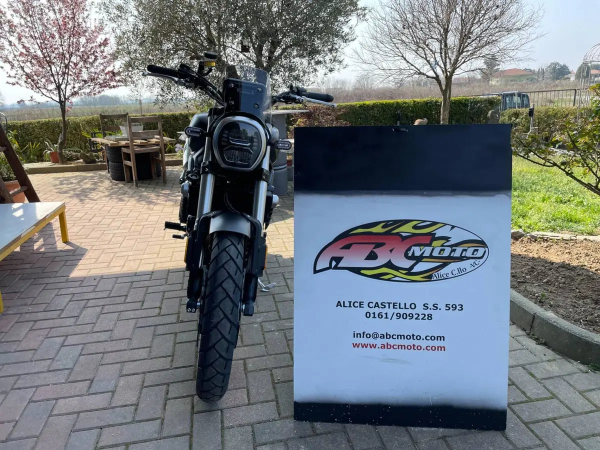 Voge Trofeo 525ACX Scrambler (2023 - 26) (6)