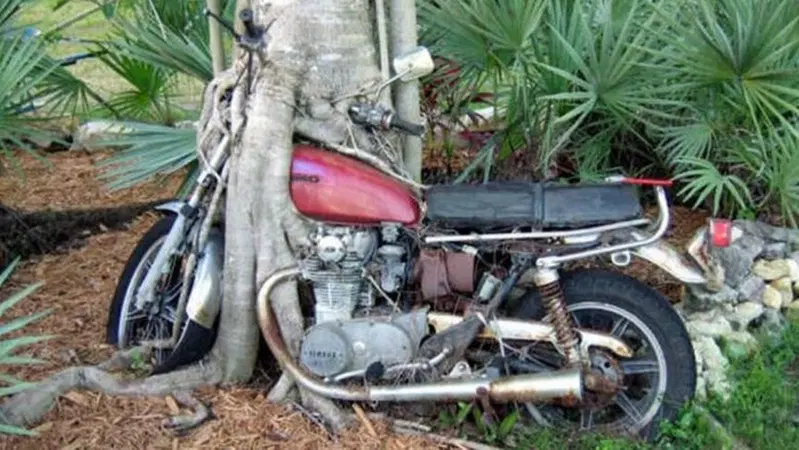 Bollo per moto e auto storiche. Il patrimonio andr&agrave; distrutto o finir&agrave; all'estero?