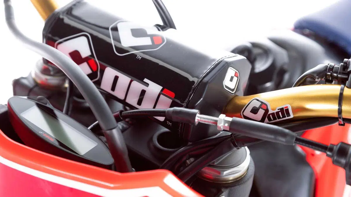 Honda CRF 300RX CRF 300RX 50° Anniversario (2023) (12)