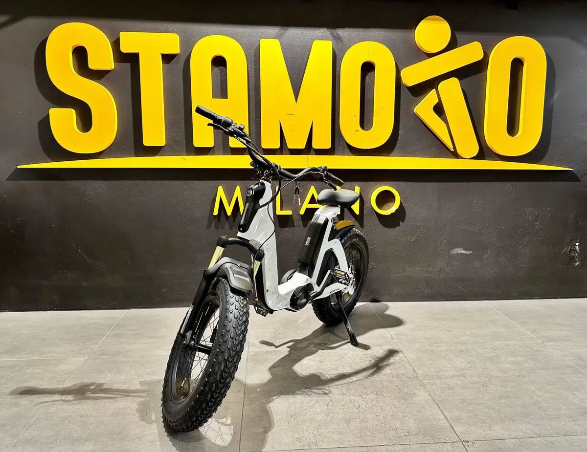 Fantic Motor Issimo 25 Fun (2022 - 26) (2)