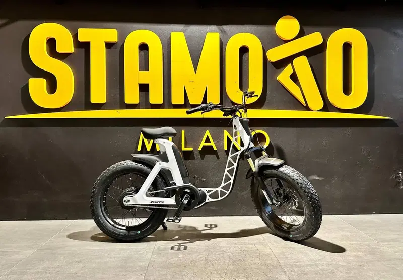 Fantic Motor Issimo 25 Fun (2022 - 26) (3)