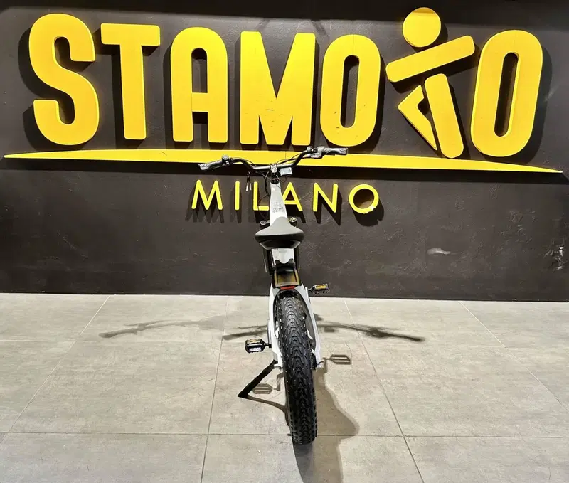 Fantic Motor Issimo 25 Fun (2022 - 26) (7)