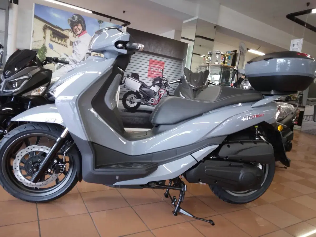 Sym HD 300 (2021 - 25)