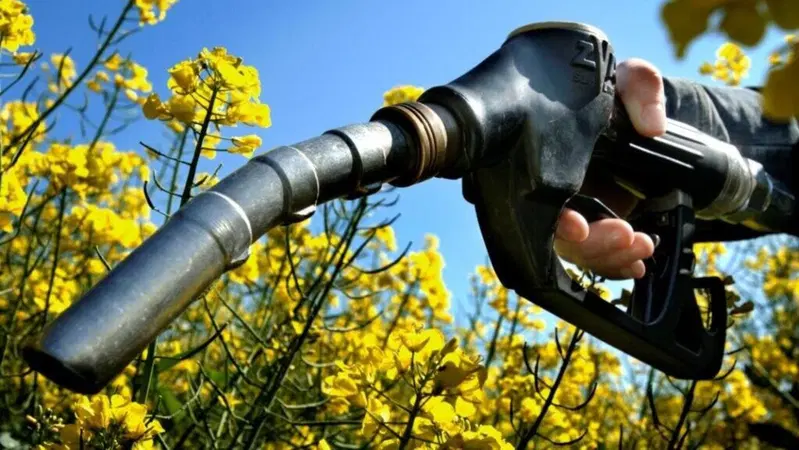 2035: benzine sintetiche s&igrave;, bio carburanti no. Germania - Italia 1:0