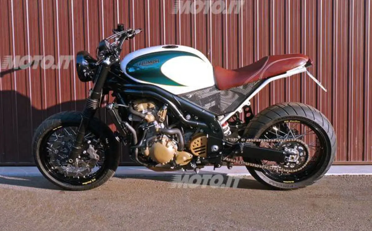 Le Strane di Moto.it: Triumph Daytona 955i Naked (5)