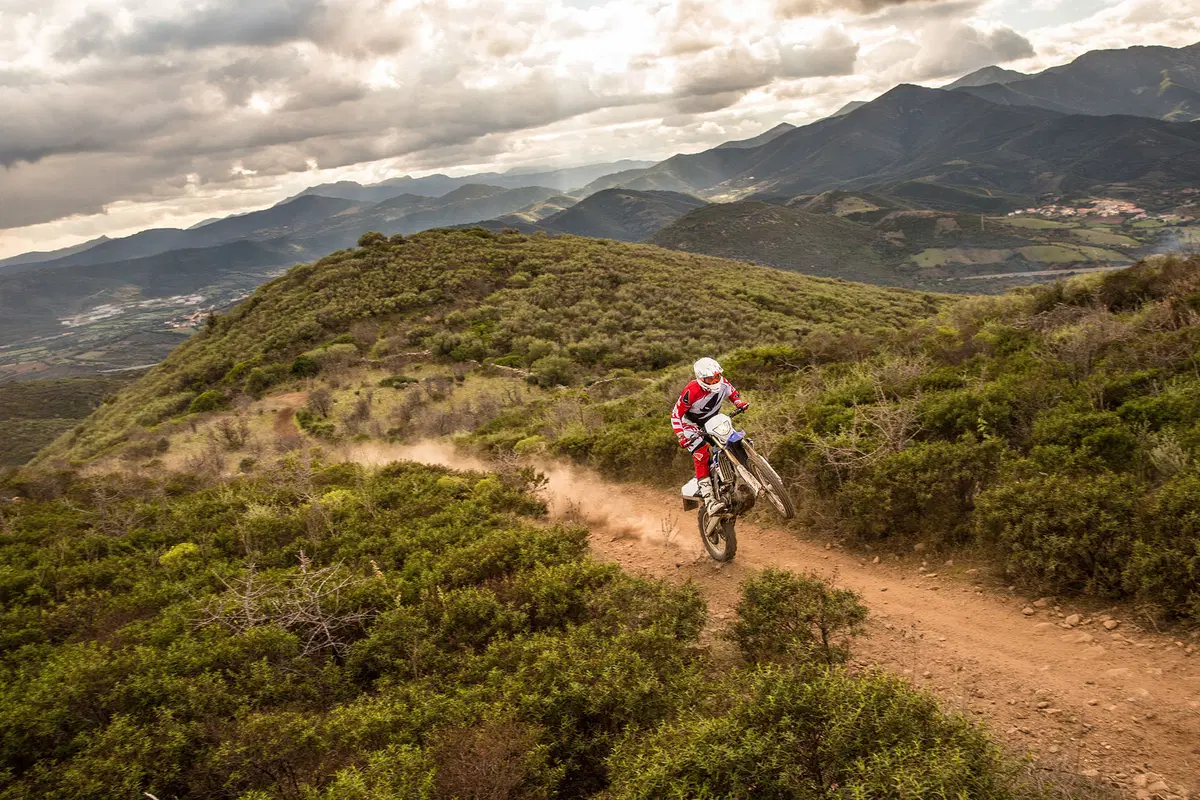Yamaha WR 250 F (14)