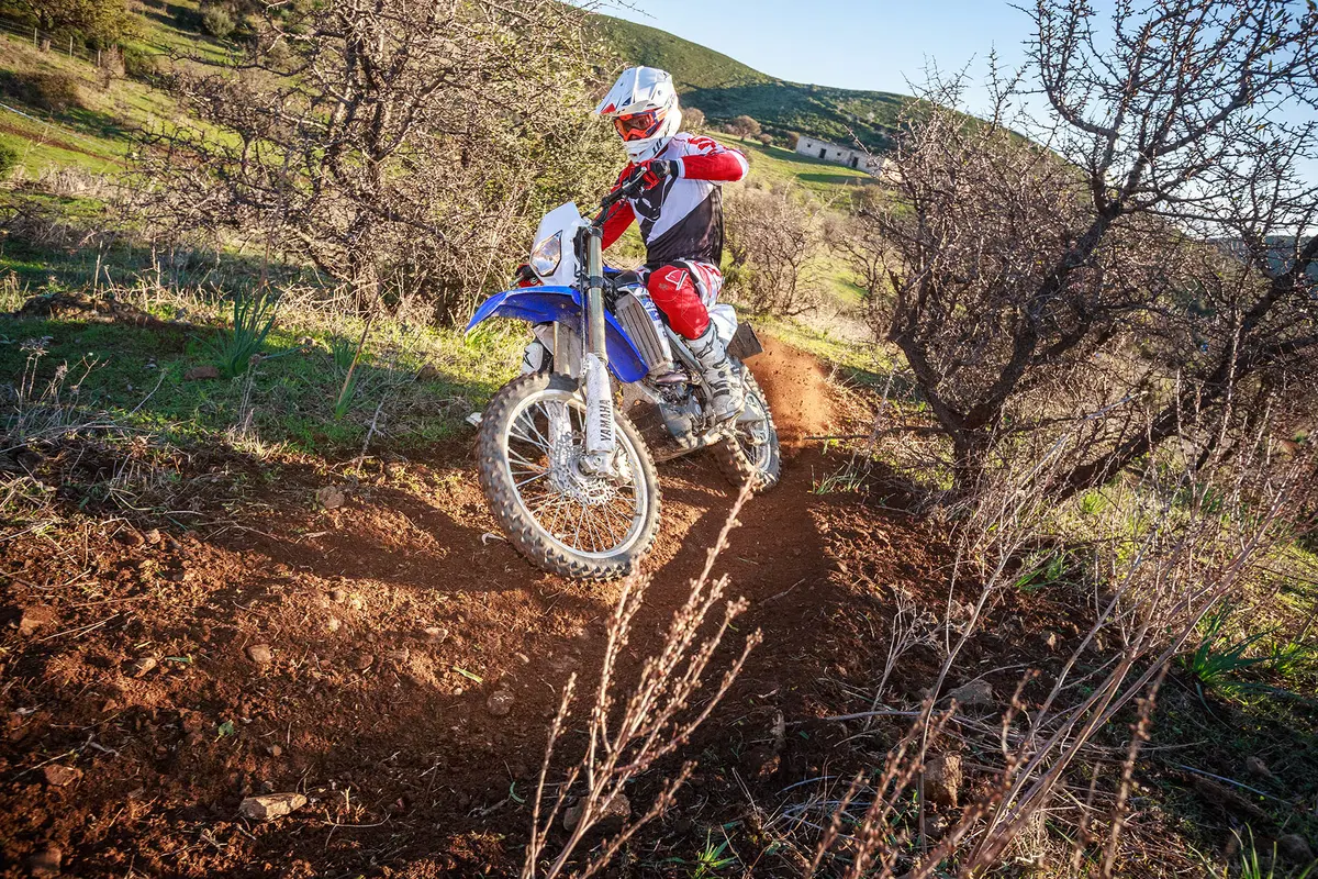 Yamaha WR 250 F (8)