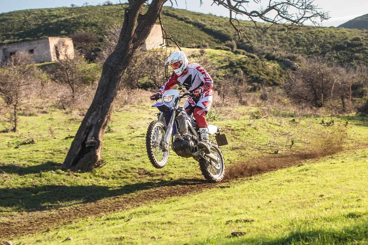 Yamaha WR 250 F (11)
