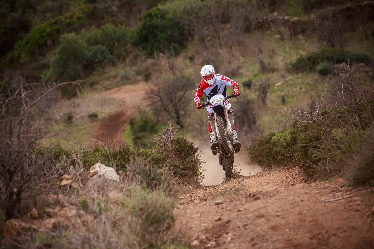 Yamaha WR 250 F (12)