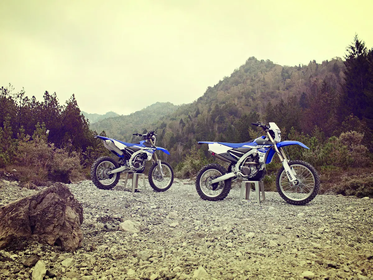 Yamaha WR 250 F (15)