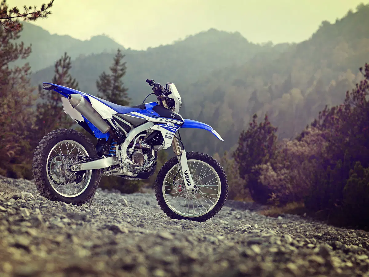 Yamaha WR 250 F (17)