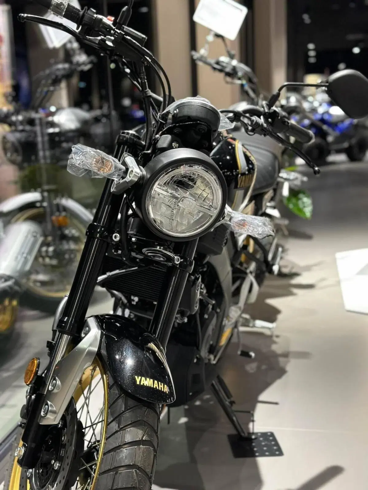 Yamaha XSR 125 Legacy (2022 - 24) (4)